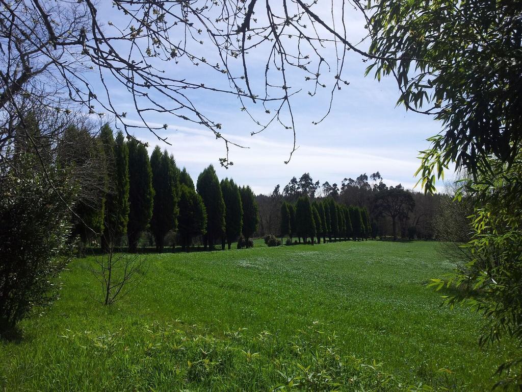 Pazo De Andeade Pension Buitenkant foto